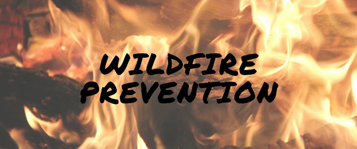 Wildfire Prevention Fair Carmel CA